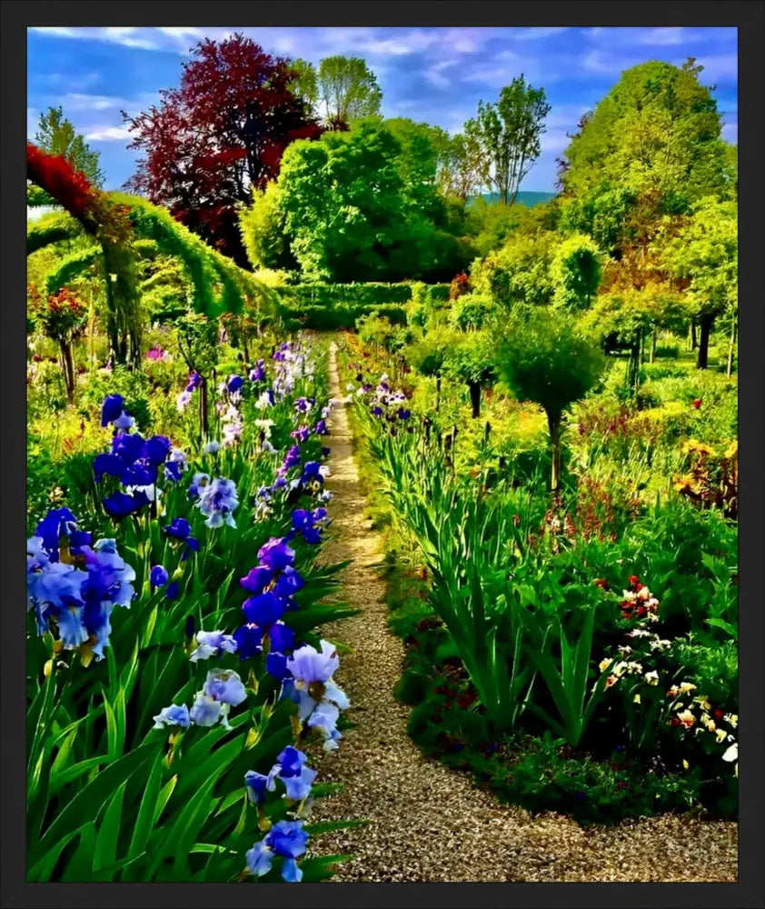 In Claude Monet's Garden: Path of Irises - Fine Art
