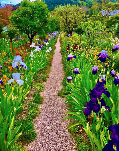 In Claude Monet's Garden: The Iris Parade - Fine Art