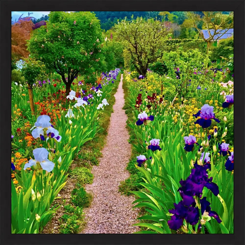 In Claude Monet's Garden: The Iris Parade - Fine Art