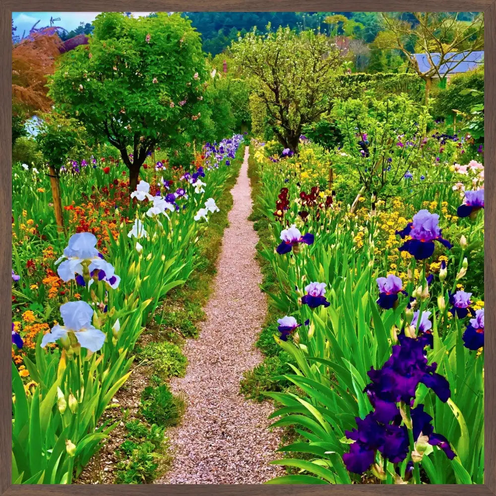 In Claude Monet's Garden: The Iris Parade - Fine Art