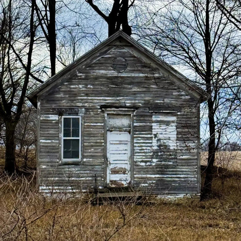 Little House In the Woods - Fine Art