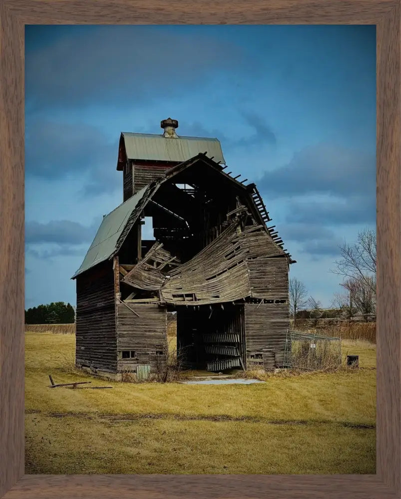 Fallen. Forgotten. - Fine Art