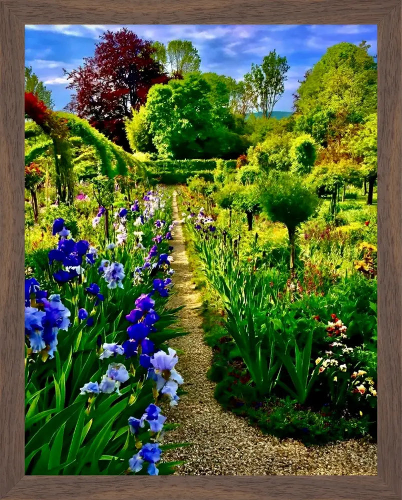 In Claude Monet's Garden: Path of Irises - Fine Art