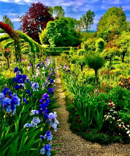 In Claude Monet's Garden: Path of Irises - Fine Art