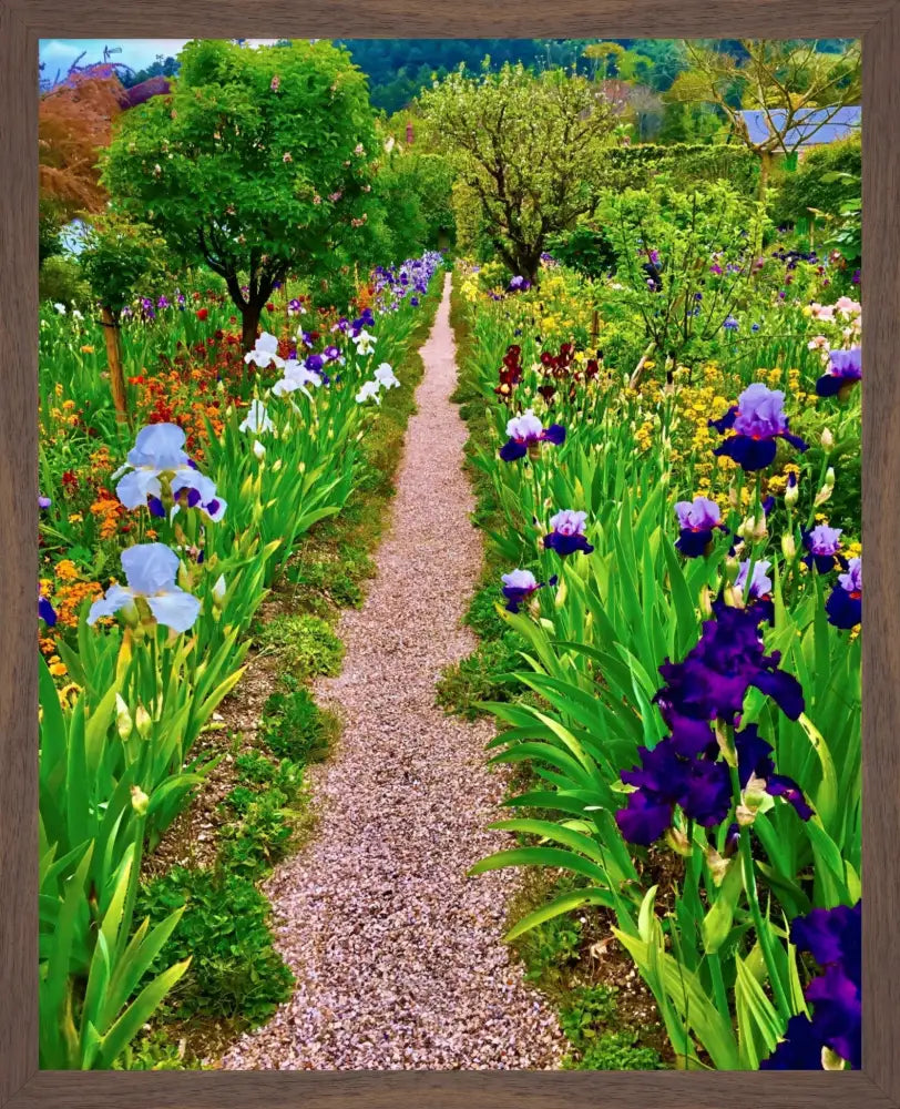 In Claude Monet's Garden: The Iris Parade - Fine Art