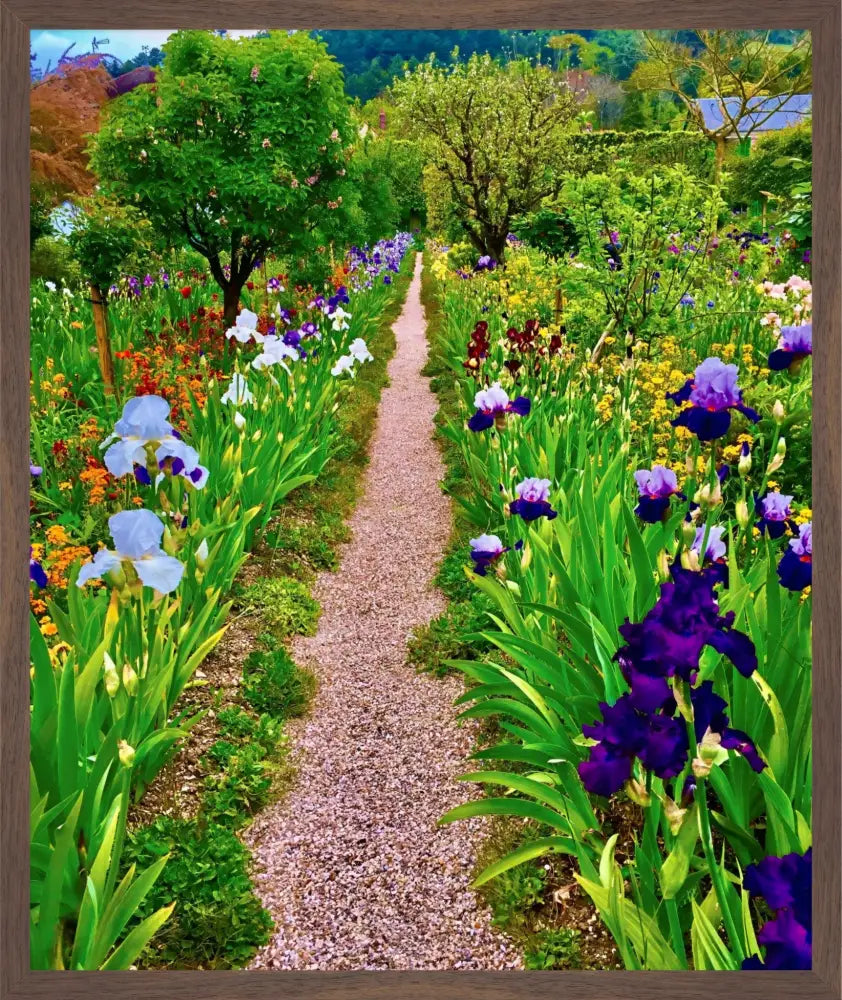 In Claude Monet's Garden: The Iris Parade - Fine Art