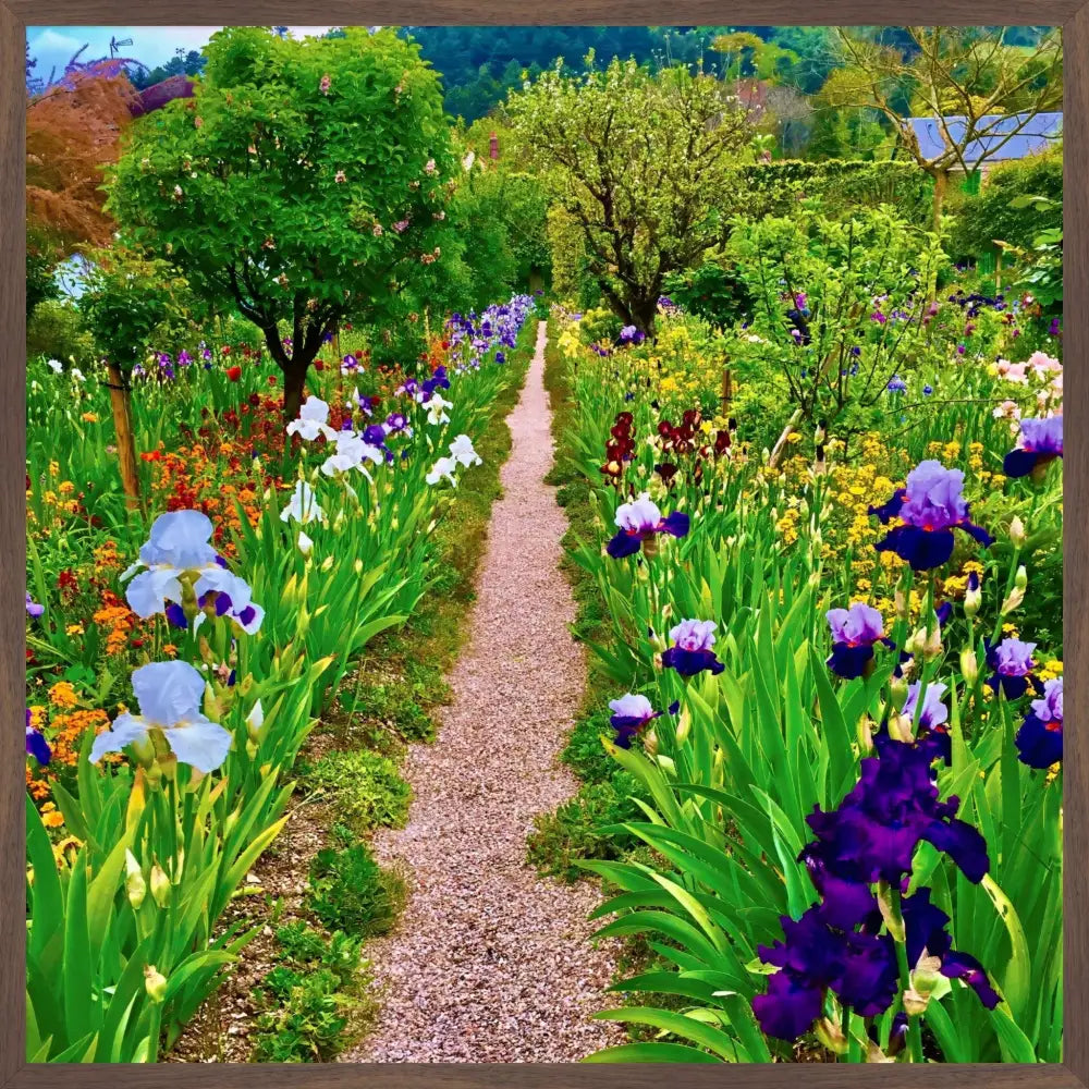 In Claude Monet's Garden: The Iris Parade - Fine Art