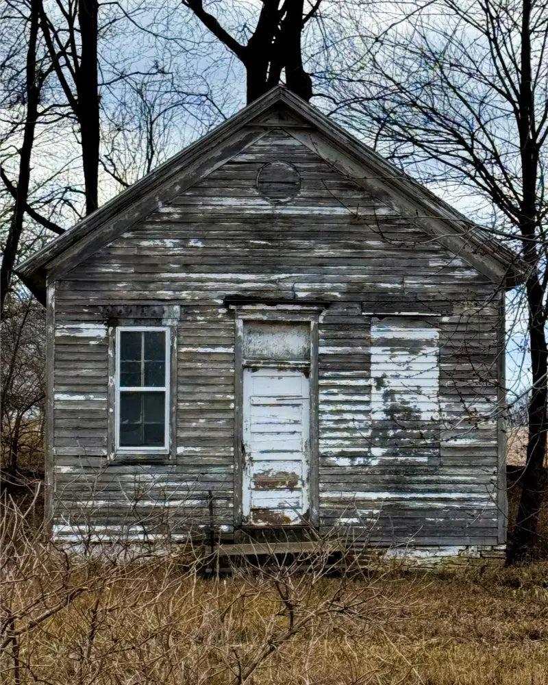 Little House In the Woods - Fine Art