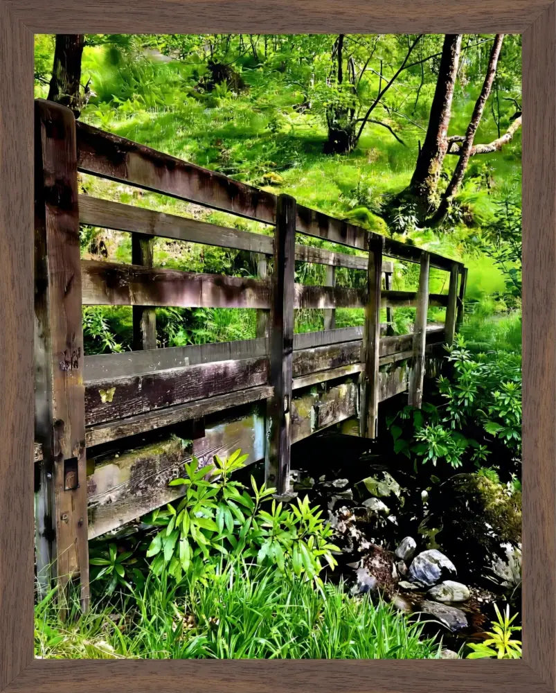 Welcoming Bridge Exploring Pitlochry Forest - Fine Art