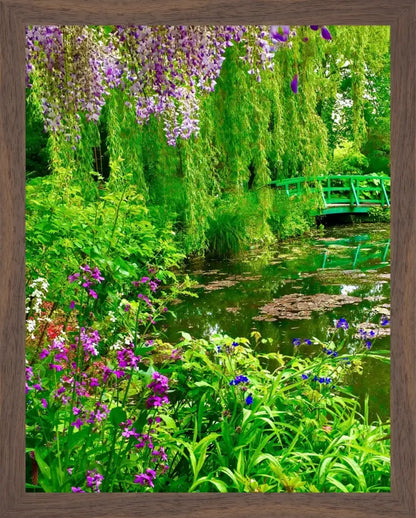 Where the Colors Breathe in Brushstrokes - Claude Monet's Water Garden - Fine Art