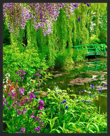 Where the Colors Breathe in Brushstrokes - Claude Monet's Water Garden - Fine Art
