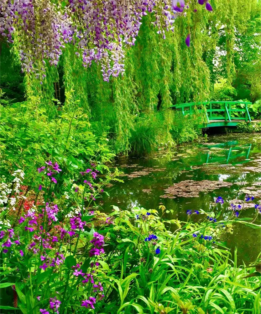 Where the Colors Breathe in Brushstrokes - Claude Monet's Water Garden - Fine Art
