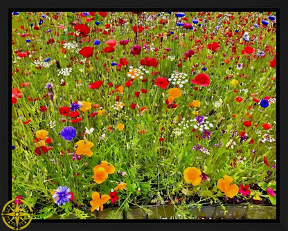 Kaleidoscope  of Late Spring Color - Canvas