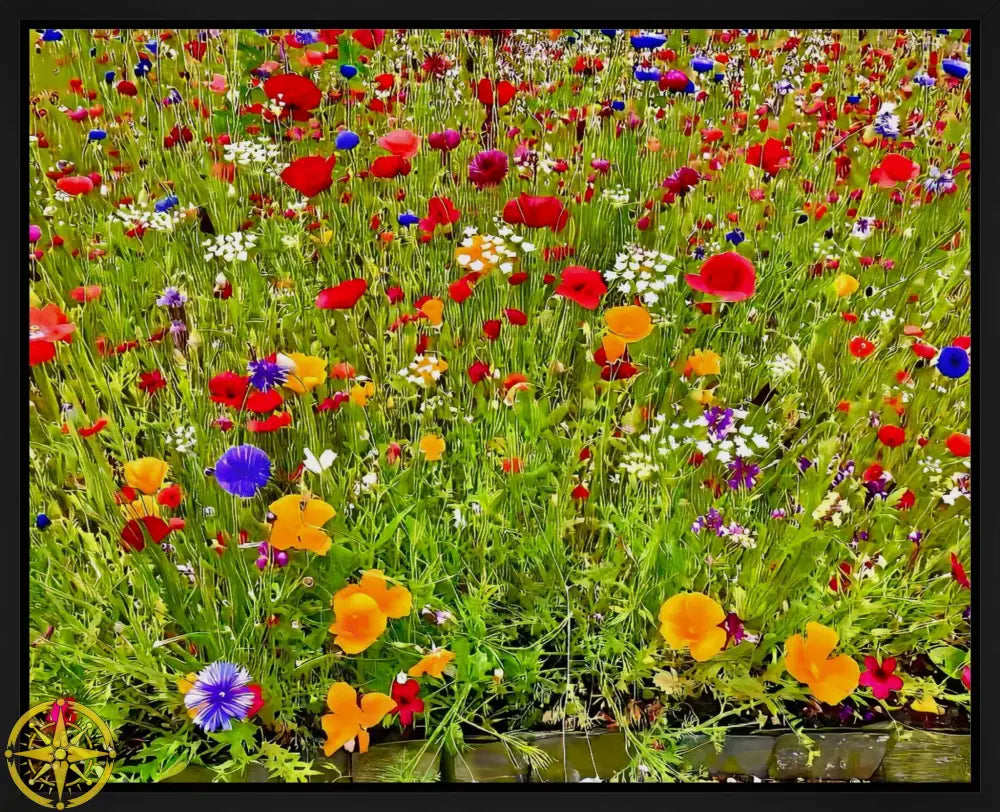 Kaleidoscope  of Late Spring Color - Canvas