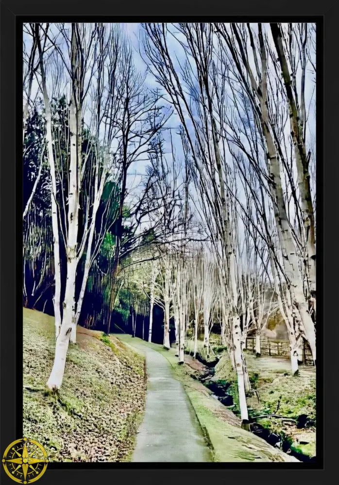 Cathedral of Birches in Winter - Canvas