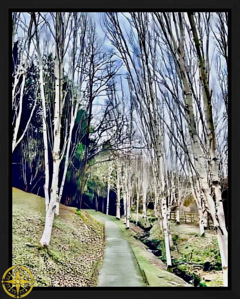 Cathedral of Birches in Winter - Canvas