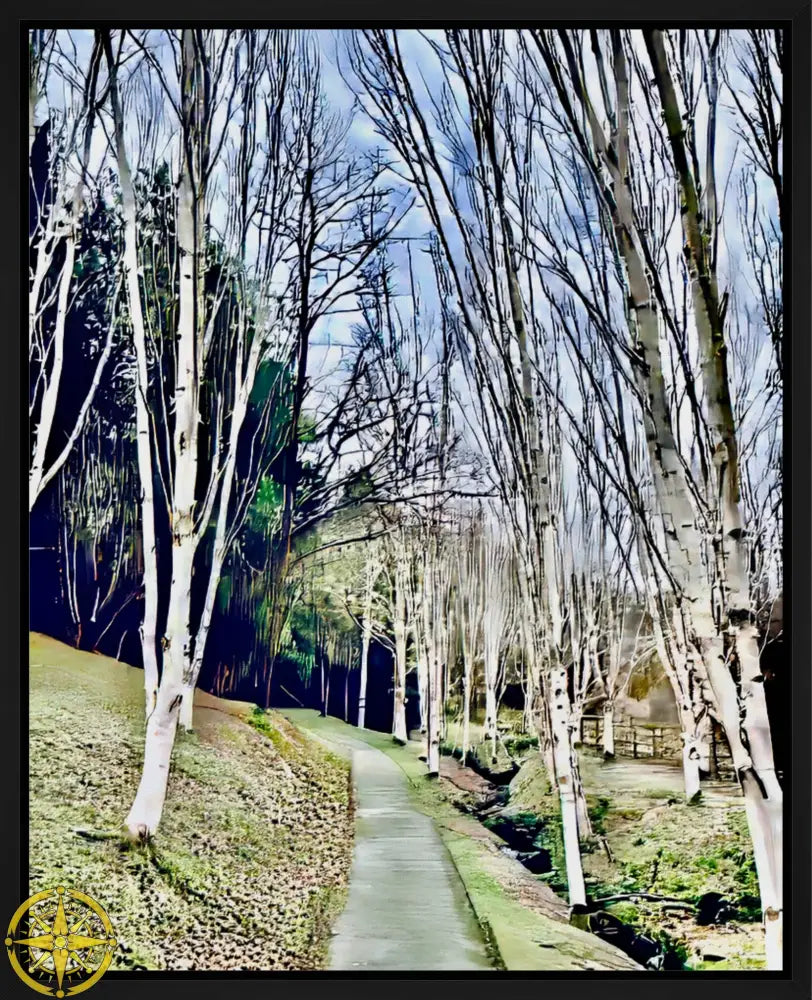 Cathedral of Birches in Winter - Canvas