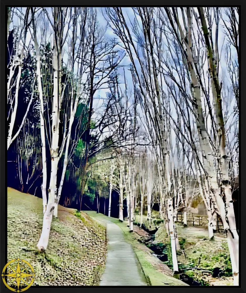 Cathedral of Birches in Winter - Canvas