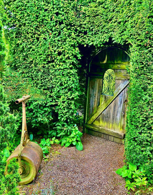The Forgotten Doorway