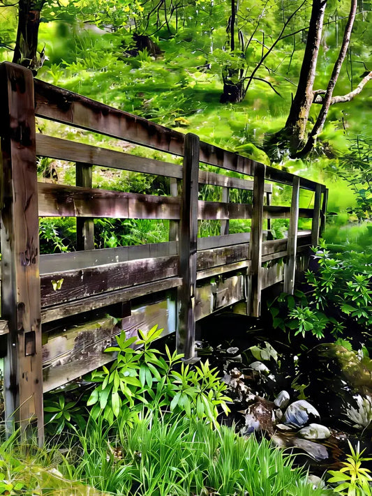 Welcoming Bridge Exploring Pitlochry Forest - Acrylic