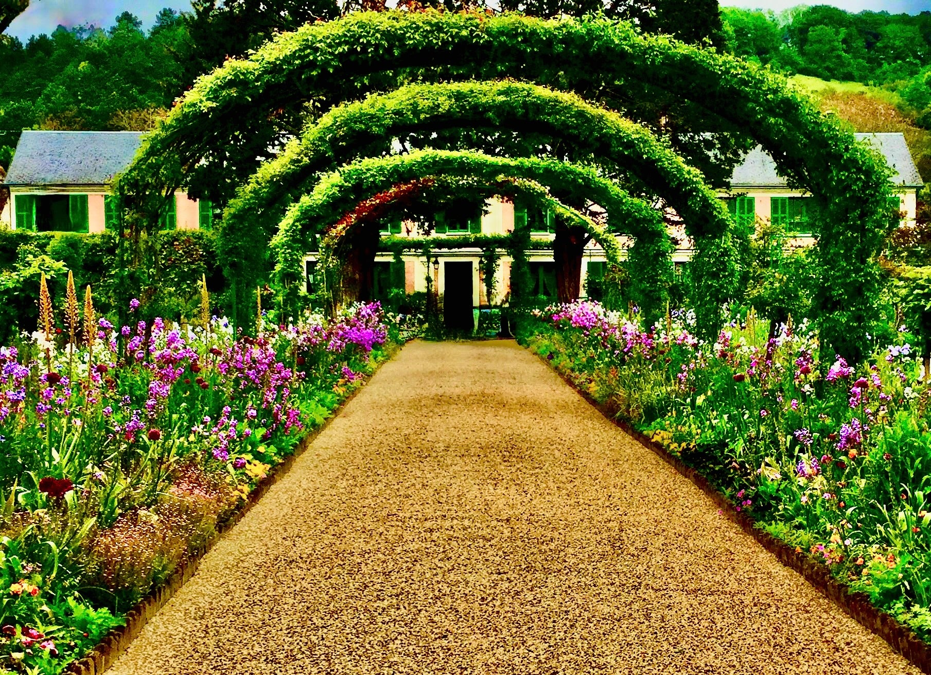 Pathway to the Painter’s Dream