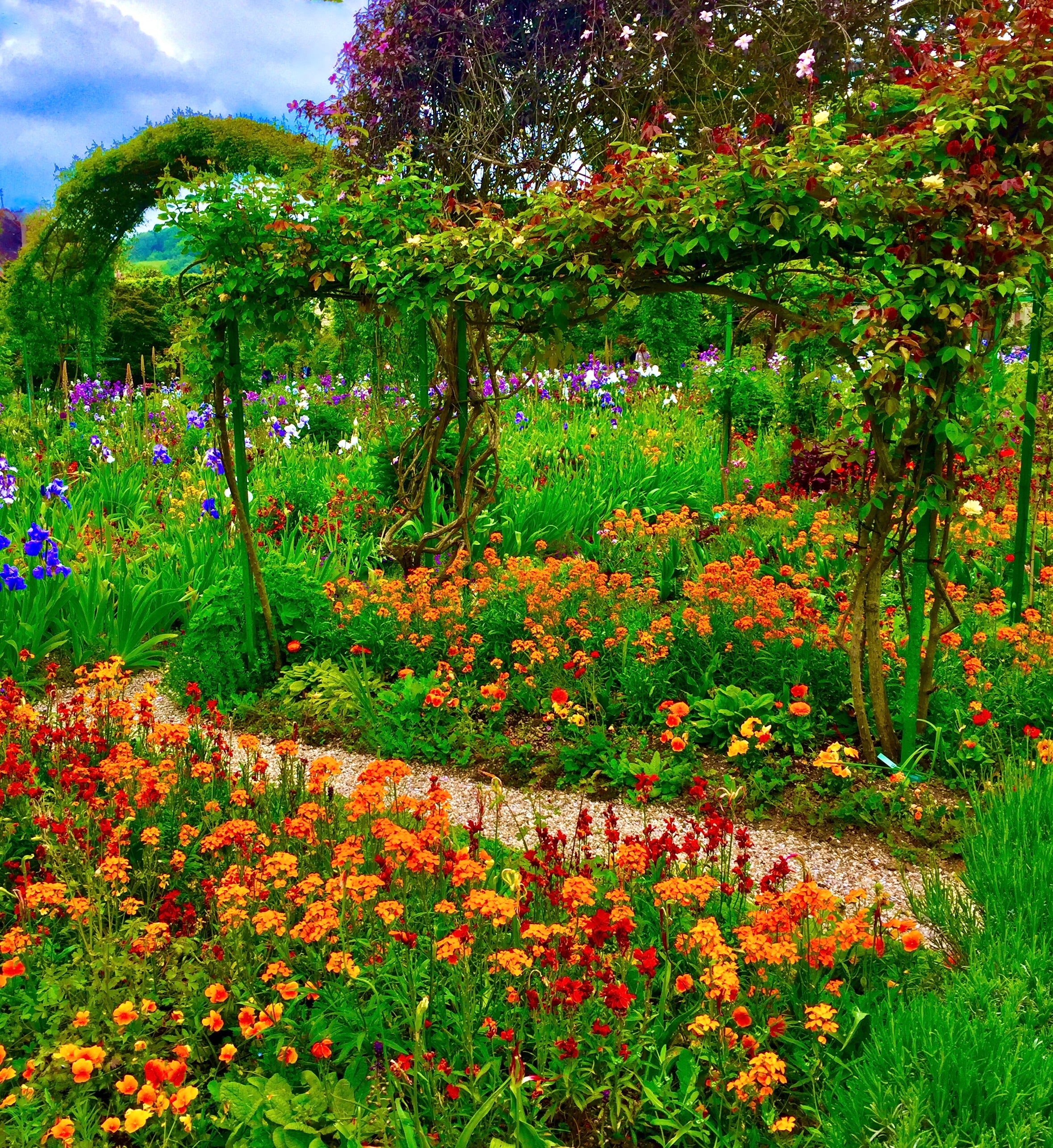 Where Color Sleeps Lightly