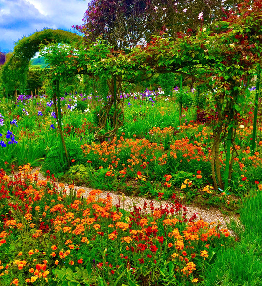 Where Color Sleeps Lightly