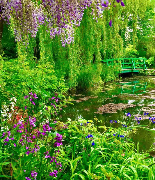 Where the Colors Breathe in Brushstrokes - Claude Monet's Water Garden  - Canvas